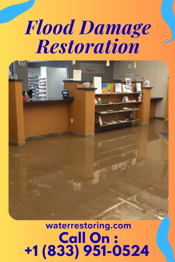 Flood Damage Restoration in Kitty Hawk, NC