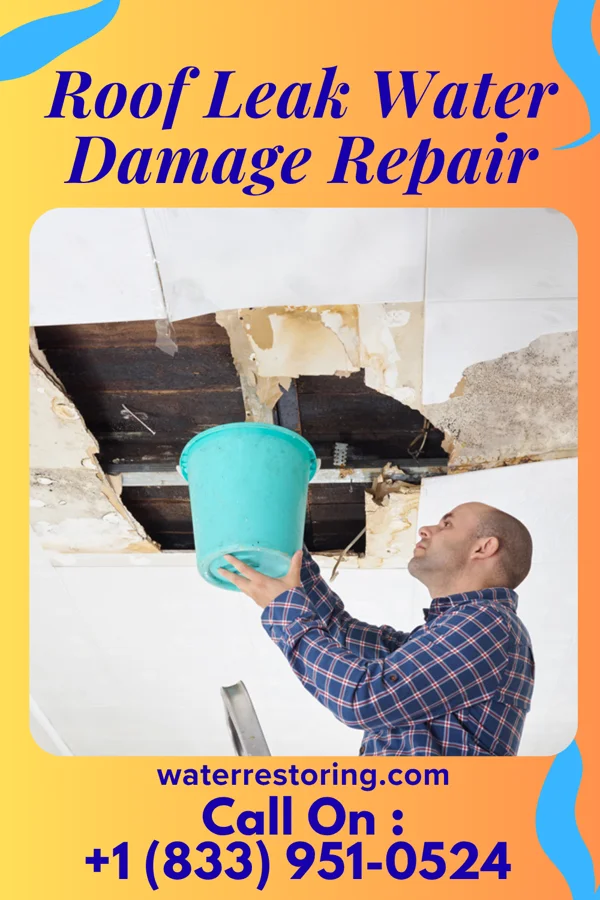 Roof Leak Water Damage Repair in Kitty Hawk, NC