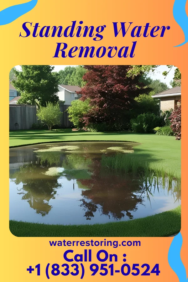 Standing Water Removal in Kitty Hawk, NC